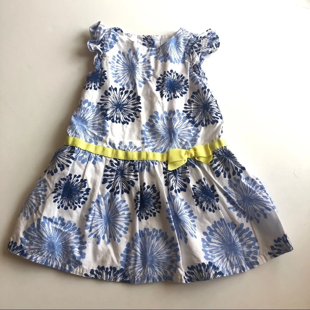 Gymboree floral dress